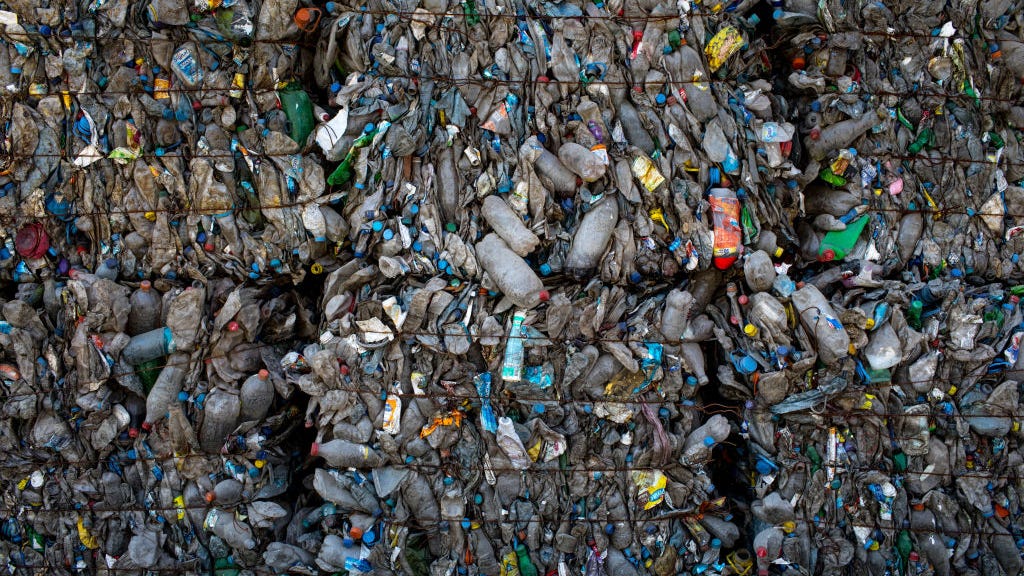 14 surprising facts you never knew about recycling contamination