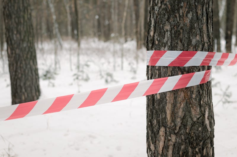 Human remains found in wooded area in Joliet Township
