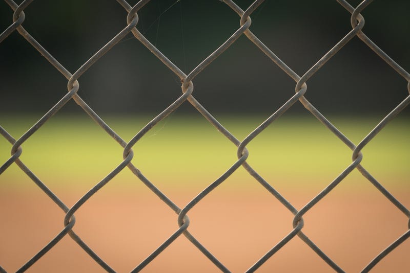 Vandals stole baseball equipment, ripped out electric wiring, destroyed a shed and more in an "upsetting" attack on a downriver park primarily used by Little League teams, police said.