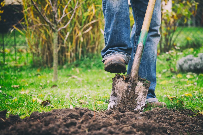 shovel digging in dirt