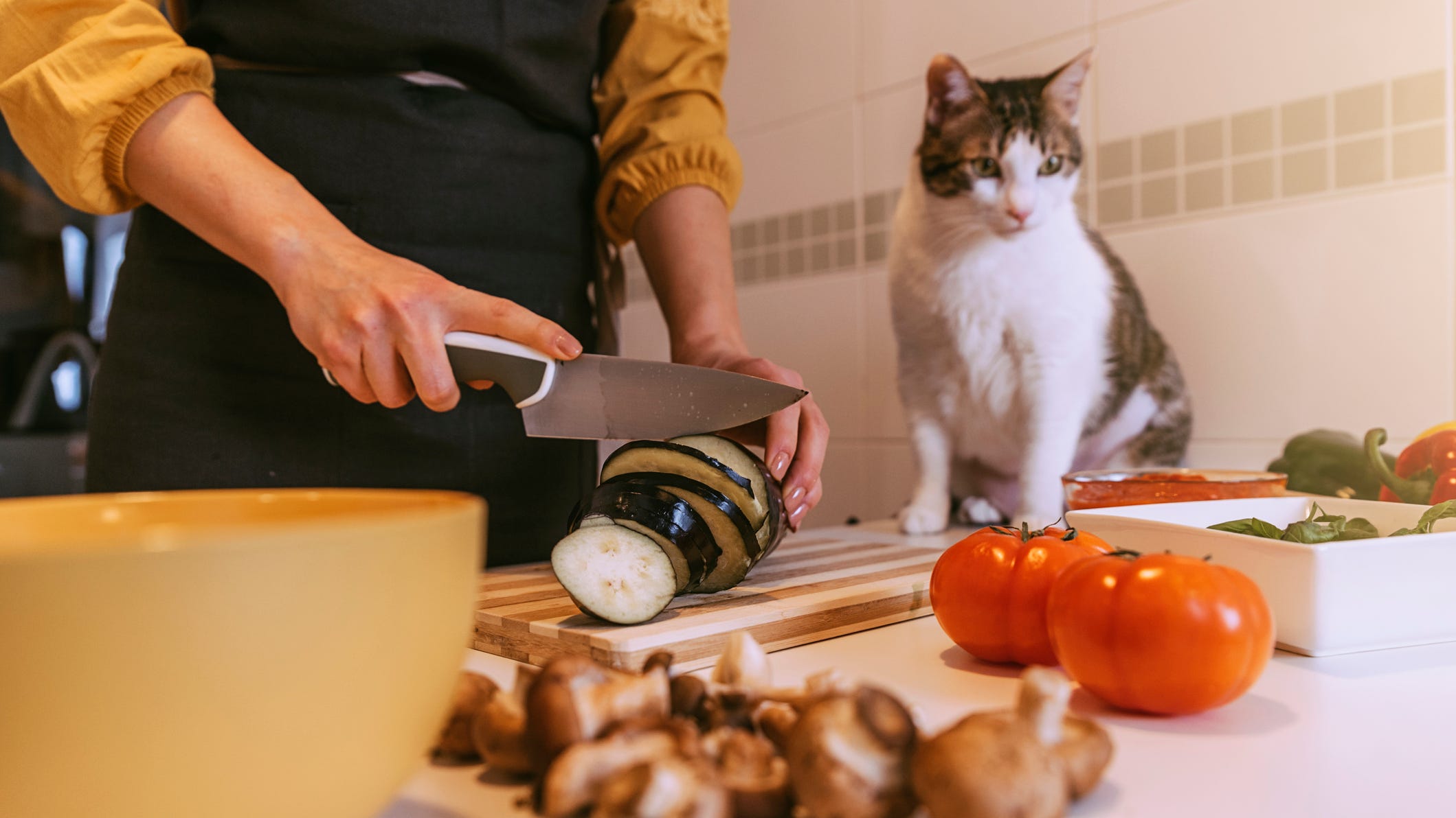Fancy Feast launches free cookbook with recipes inspired by their popular cat food