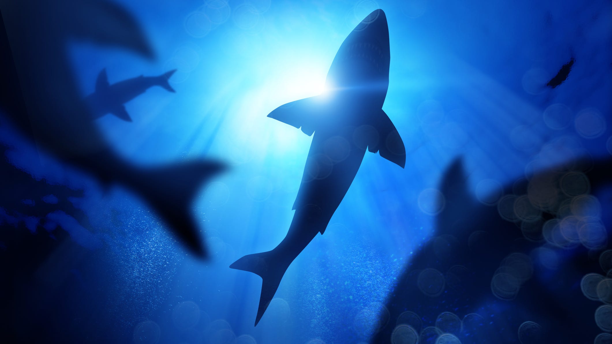 WATCH: Woman films sharks swimming in tank on highway