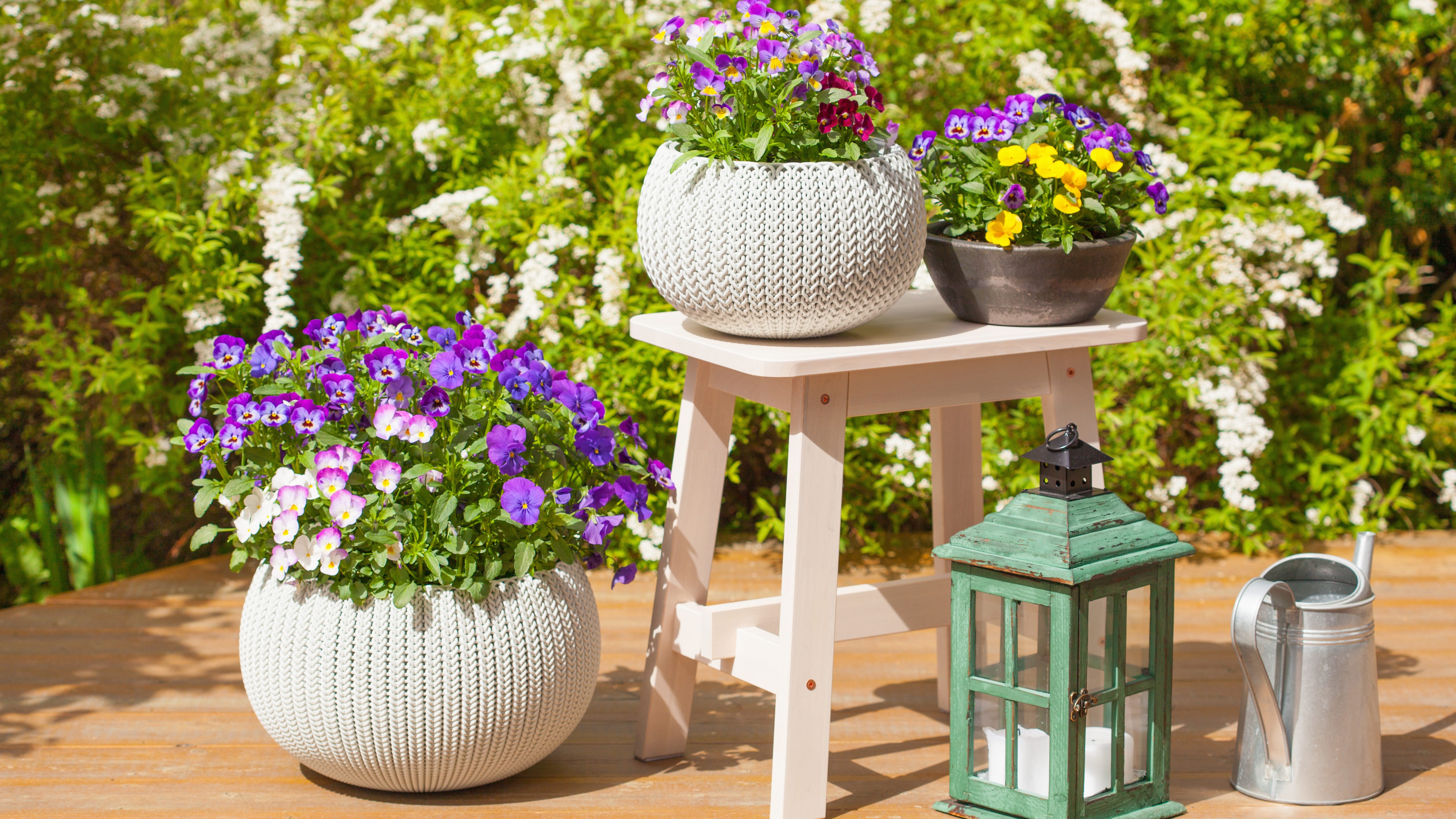 How to create the perfect spring flower display
