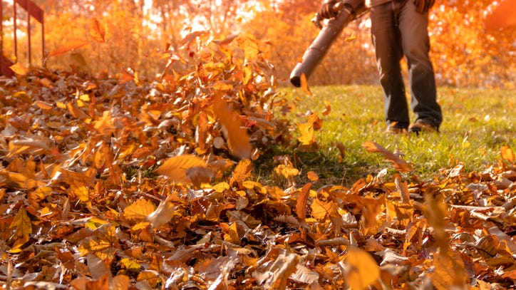 Dallas considers new leaf blower regulations