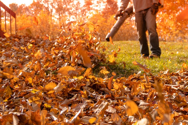 Dallas considers new leaf blower regulations
