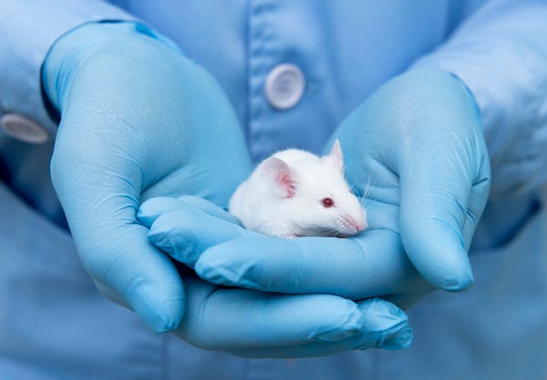 Lab technician holding mouse