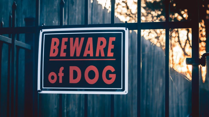 Firefighter suffers severe injuries in Madison Heights dog attack