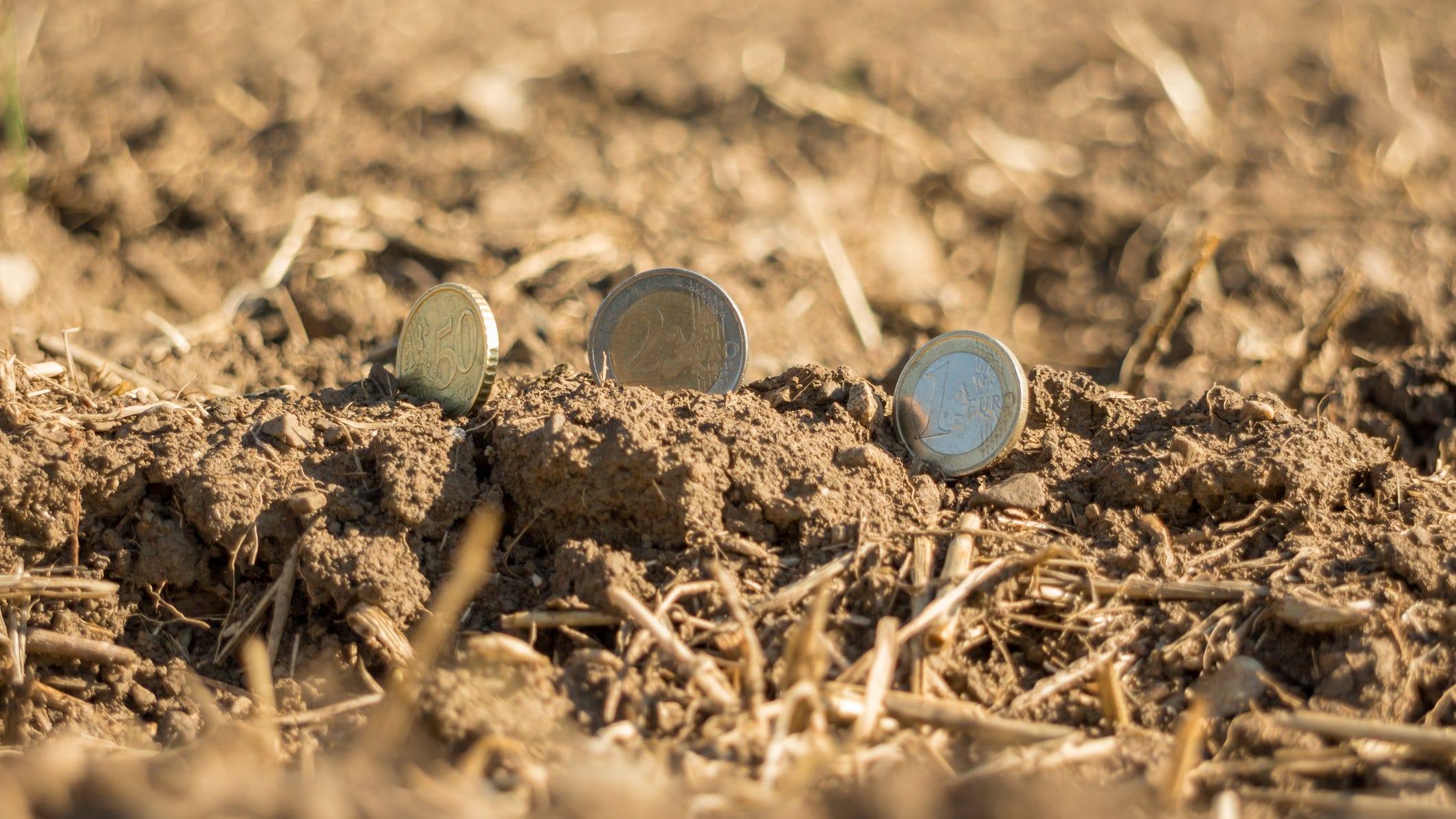 Millions of dollars worth of Civil War coins found buried in Kentucky