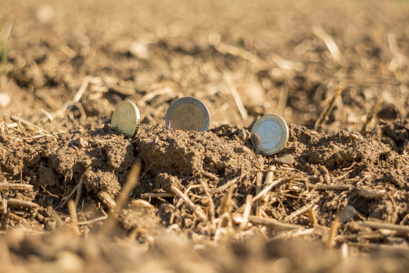 Money sitting buried in a field. 