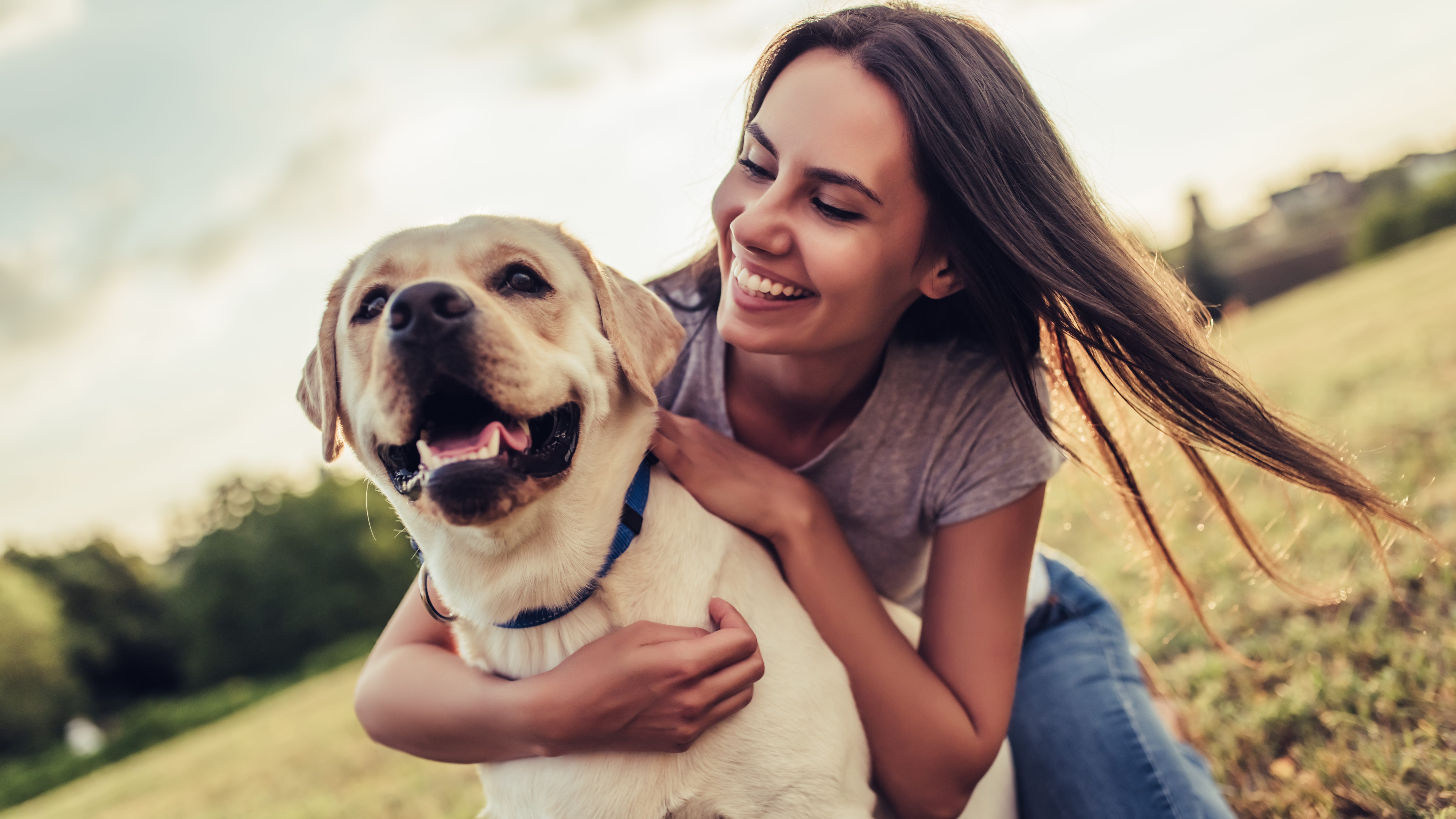 Study shows connection between animals and human emotions