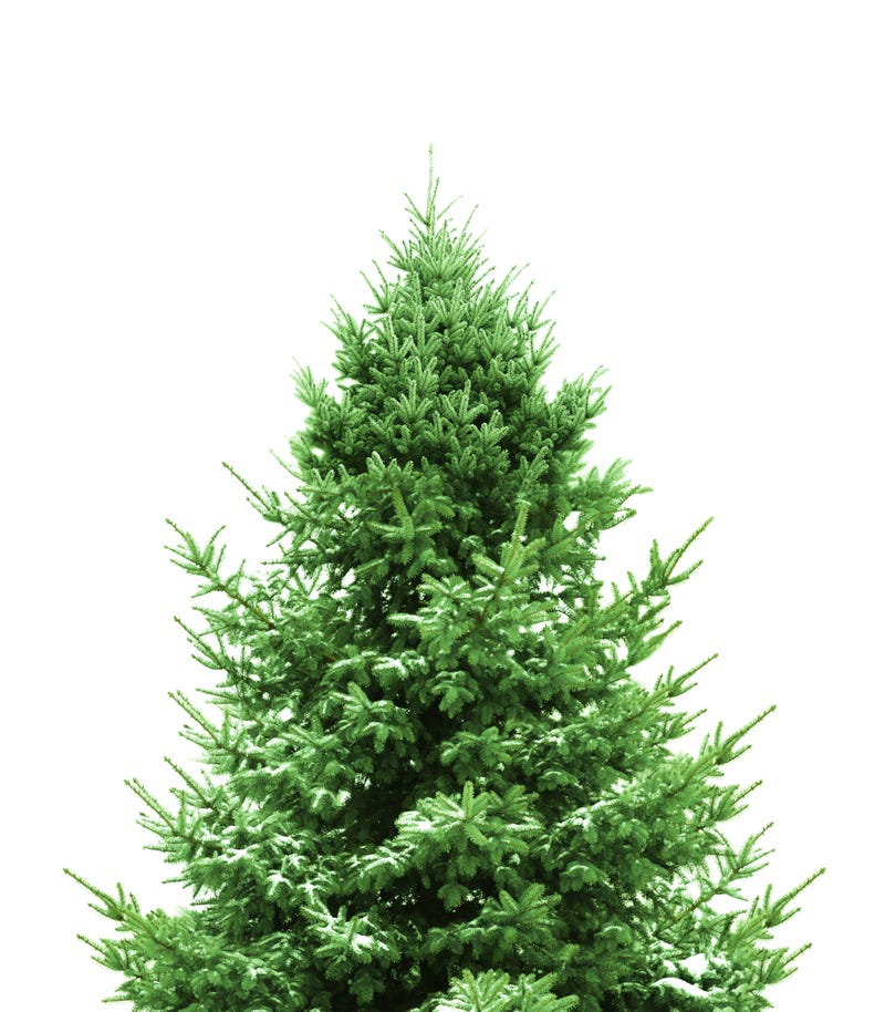 Oh Christmas Tree