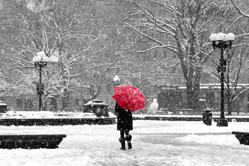 snowing in the park