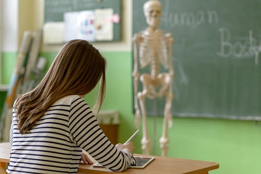 Anatomy
