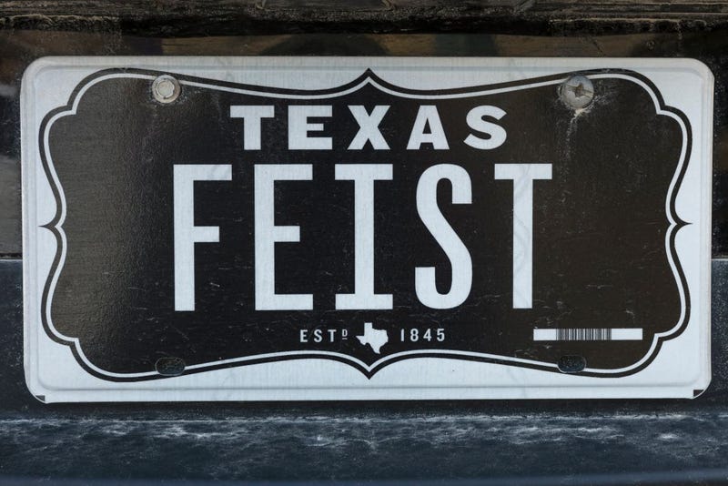 Texas License Plate