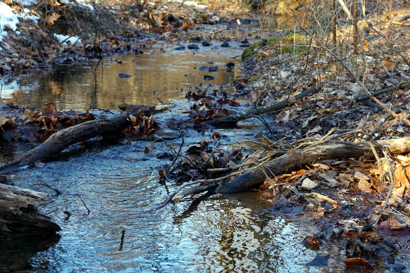 Brandywine creek in Delaware.