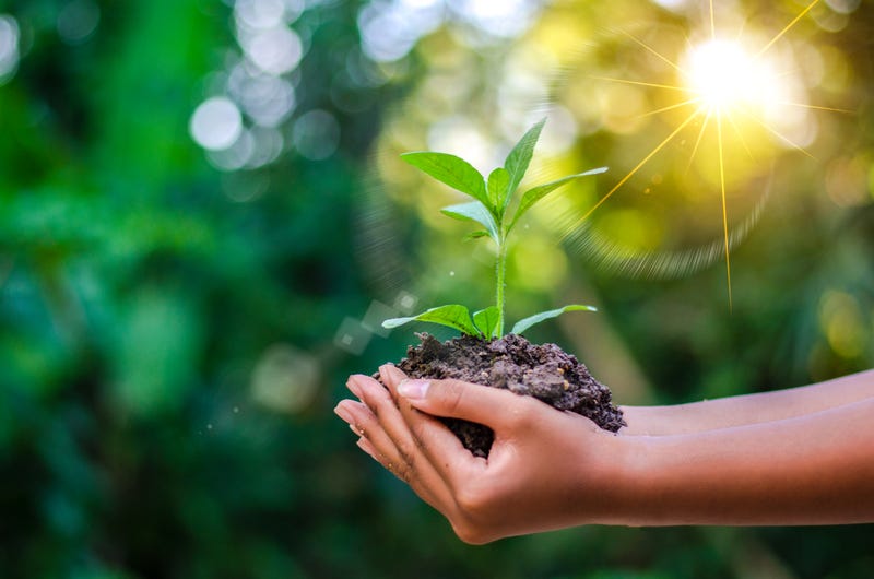 Earth Day