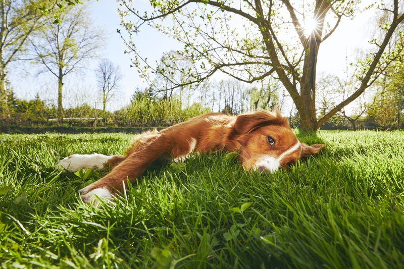 Cities in Kansas near the top and bottom of relaxation study