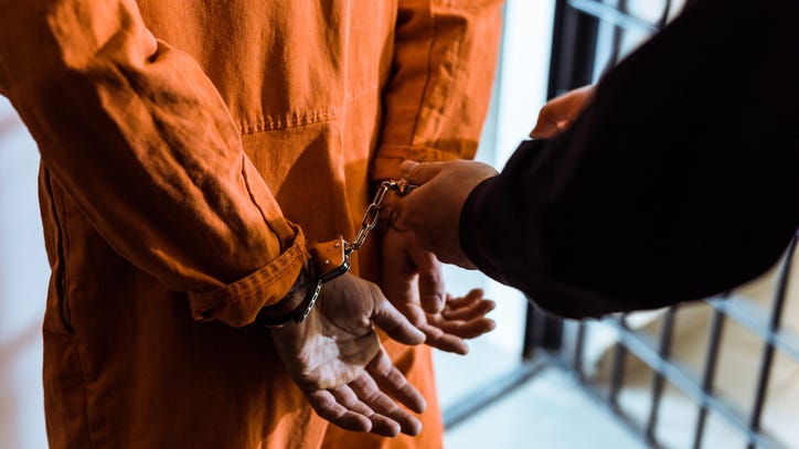 Former ICE agent sentenced to prison for sexually assaulting two young children in Michigan over several years