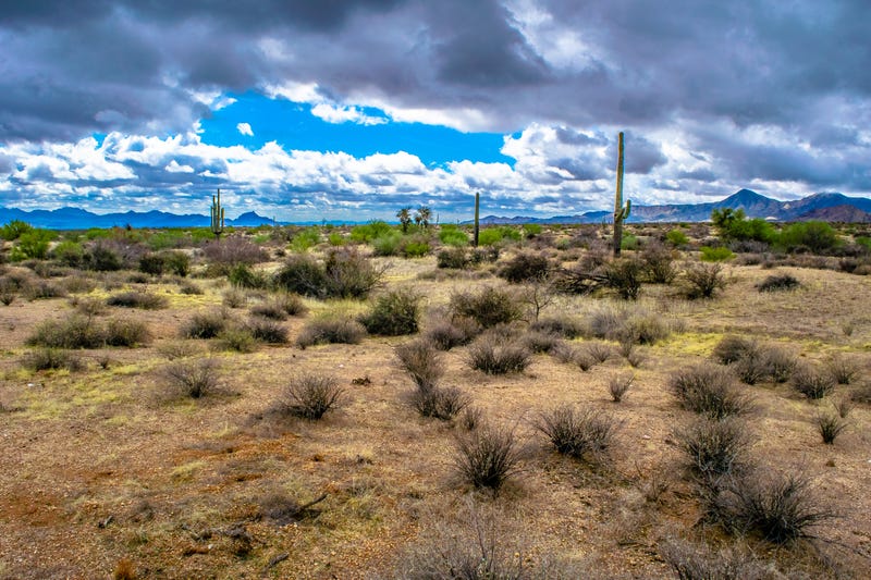 Hiking outdoors in McDowell Wilderness in Arizona