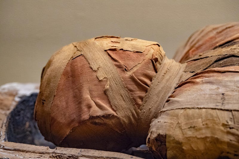 Mummy head.