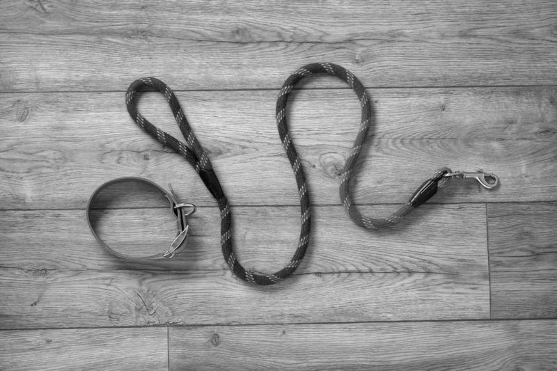 Dog leash and collar on a table. Black and white.