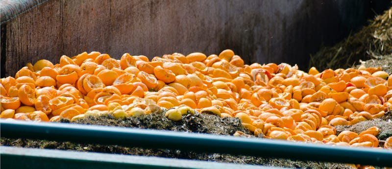 Leftover Oranges