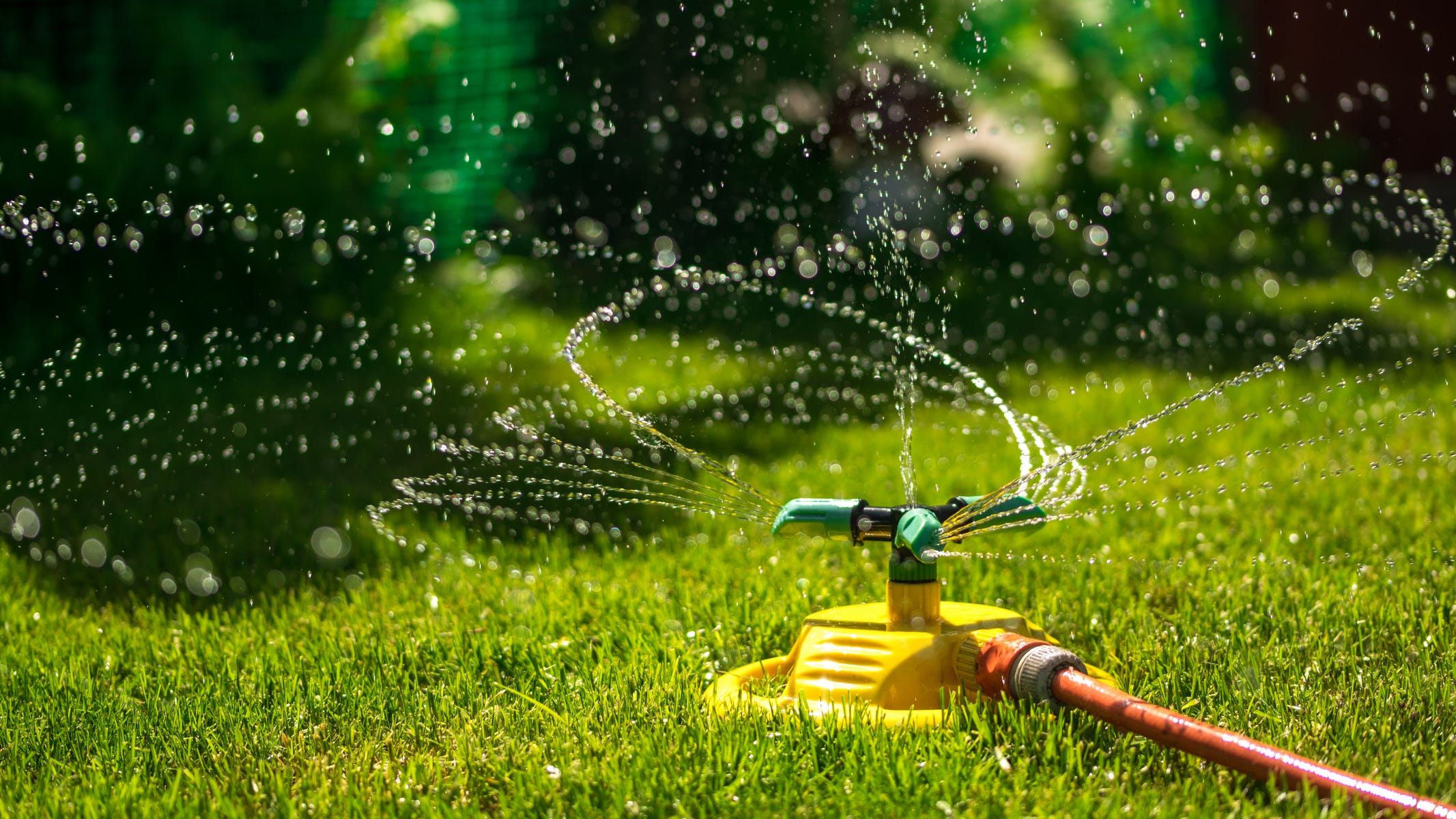 Pasadena rolls out new drought restrictions on outdoor watering through 2022