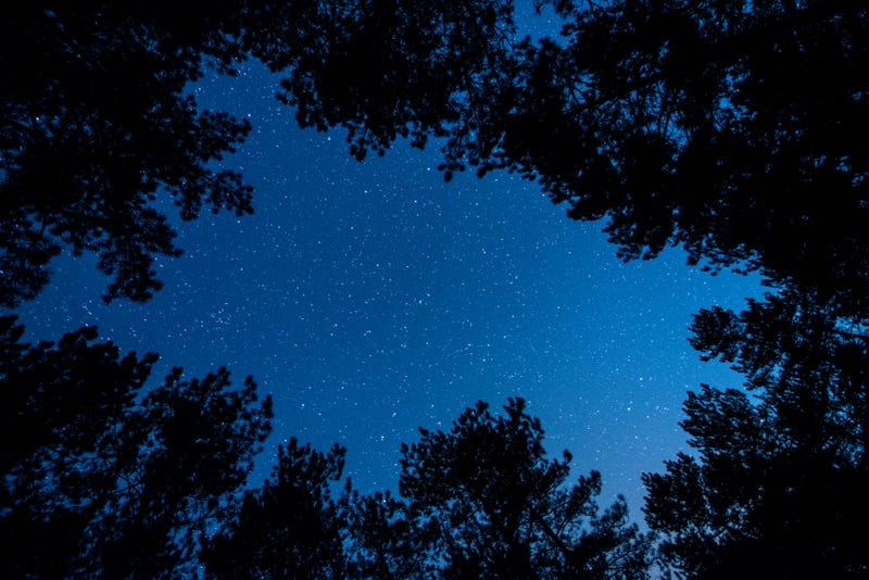 Want to enjoy a starry night in Chicagoland? Palos Preserves named best spot.