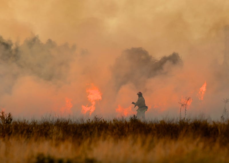 brush fire