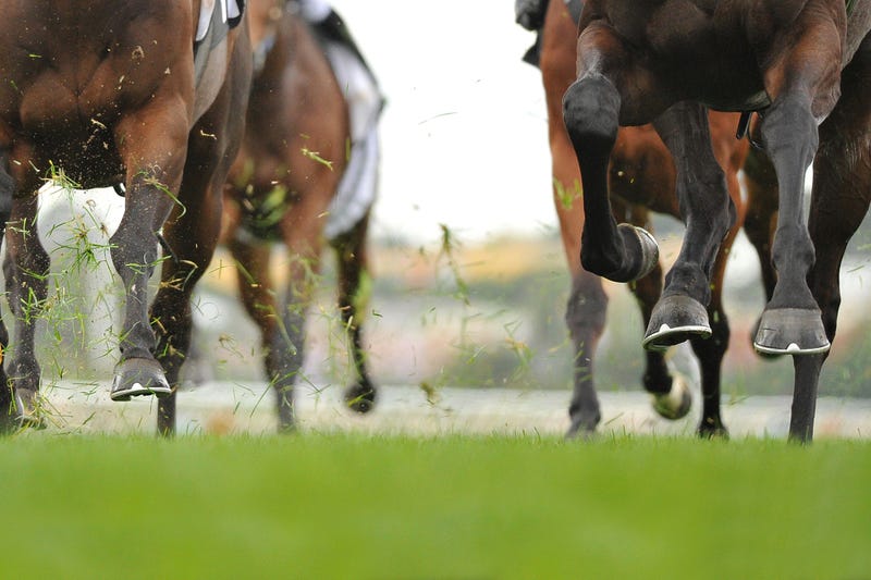 Northville Downs was granted a one-day delay to the start of the racing season after officials said there weren't enough horses entered to hold this weekend's race date on March 12.