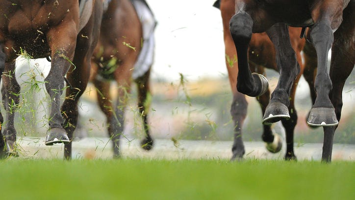 Two horses dead at Los Alamitos from racing injuries
