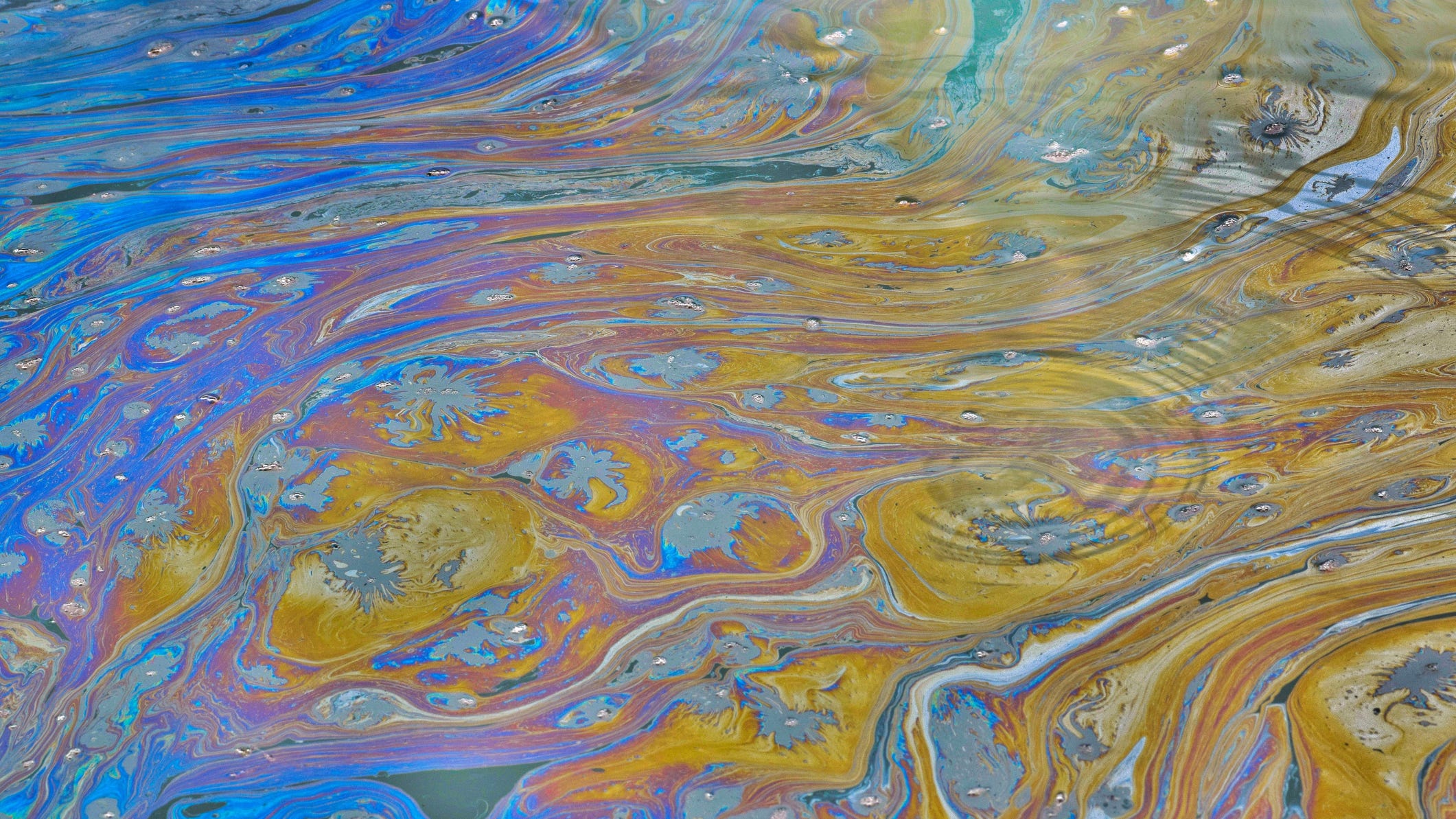 Lockhart Chemical Company to blame for petroleum-base pollutant sheening on Flint River