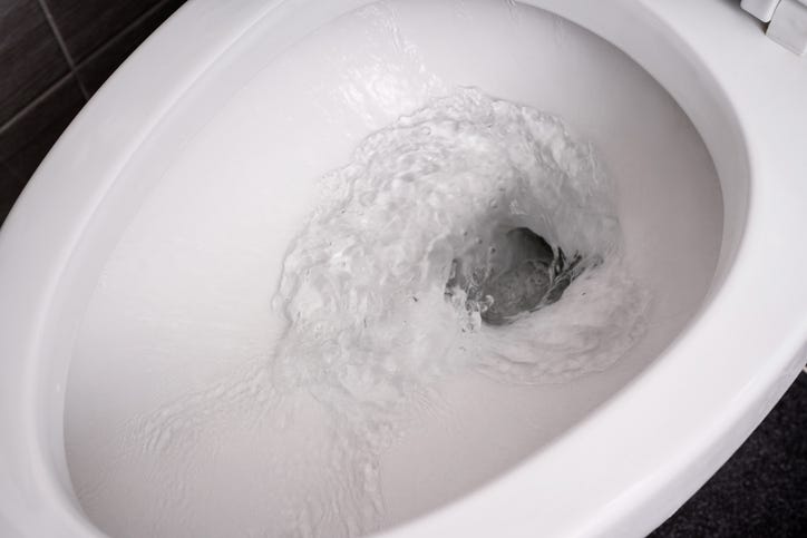 toilet 