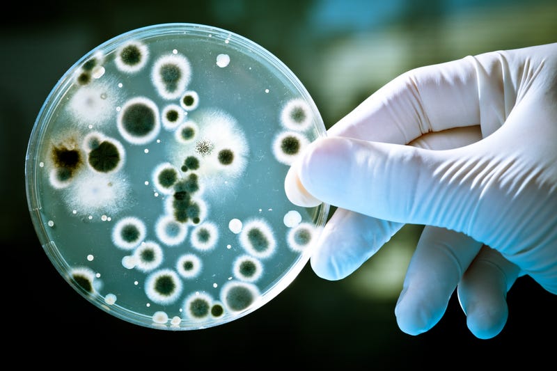 Arlington: Bacteria at city park causes rare, fatal disease in child
