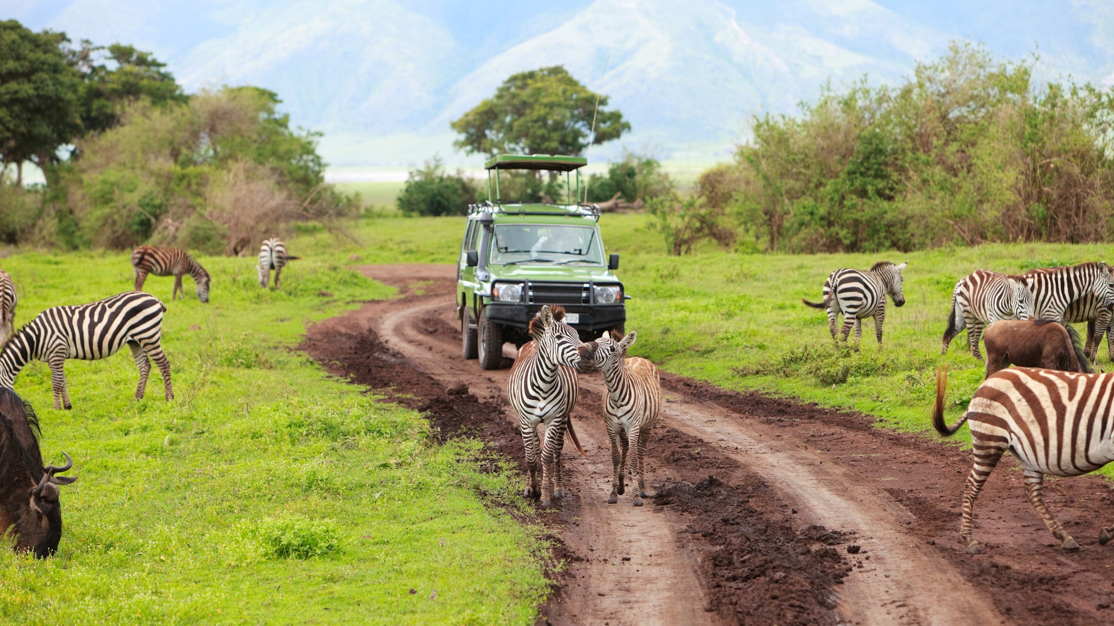 Wife arrested for shooting husband at San Diego safari park