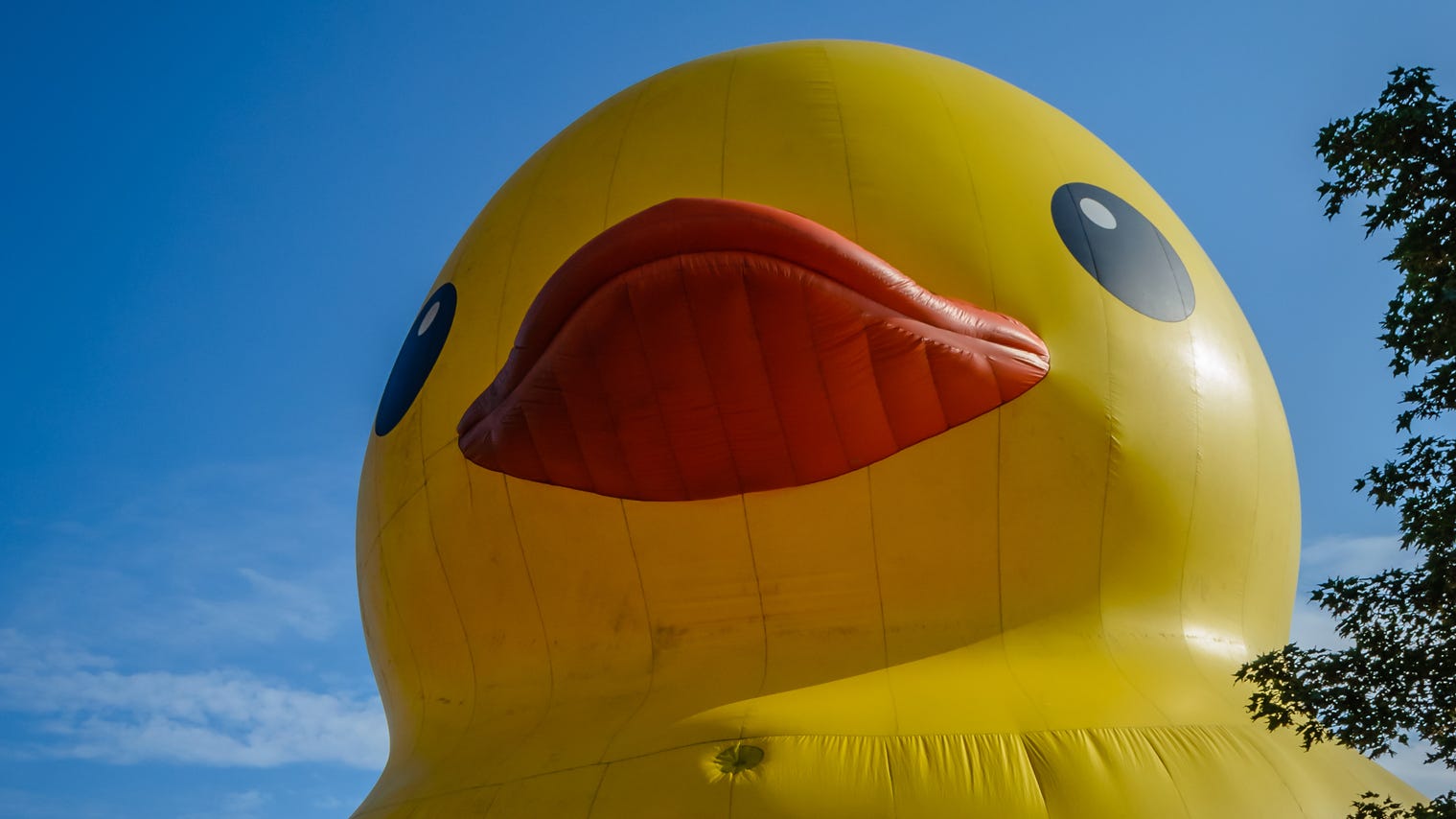 25-foot-tall rubber duck baffles town