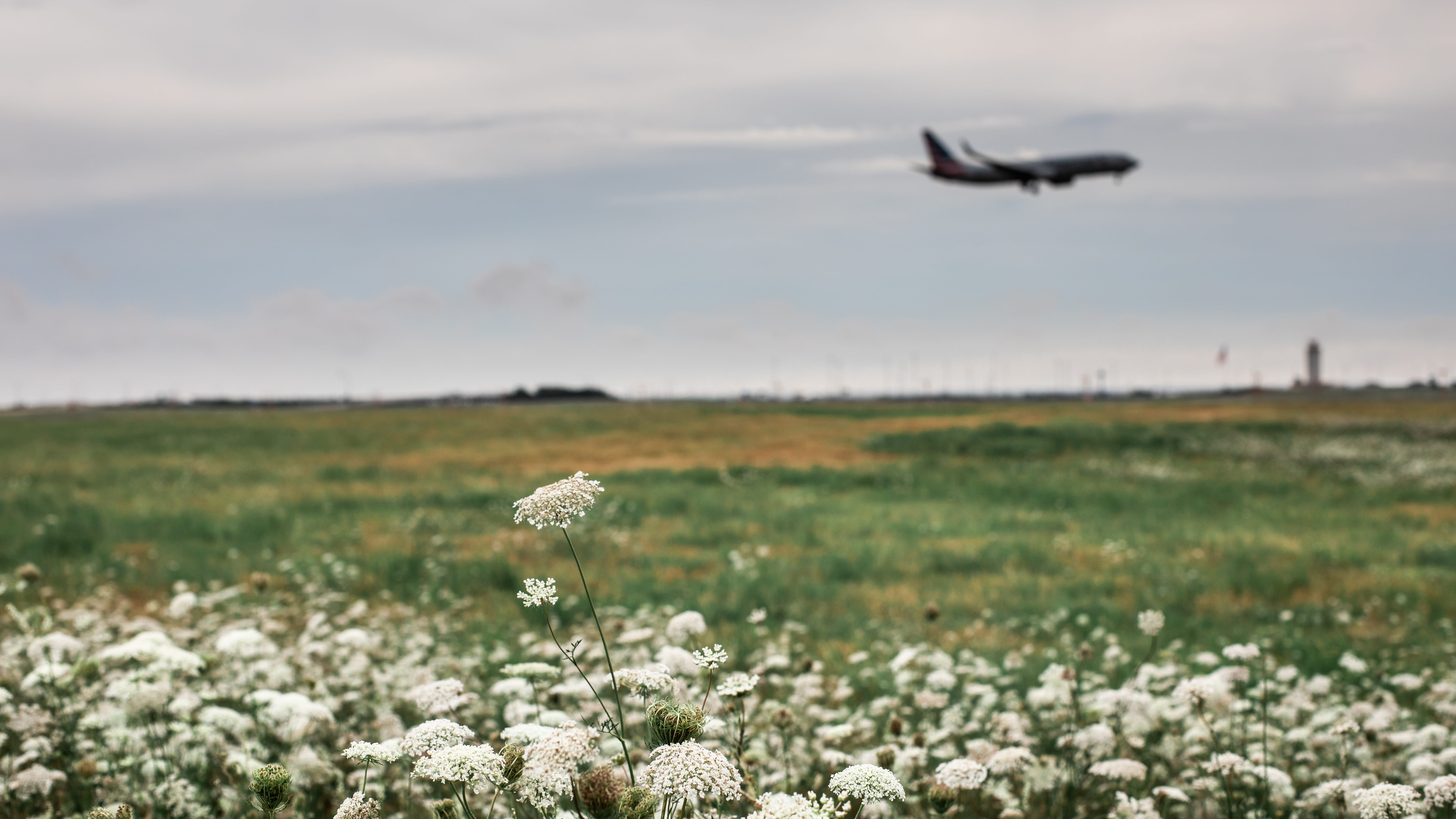 36th-anniversary approaches of Delta flight 191 crash at DFW