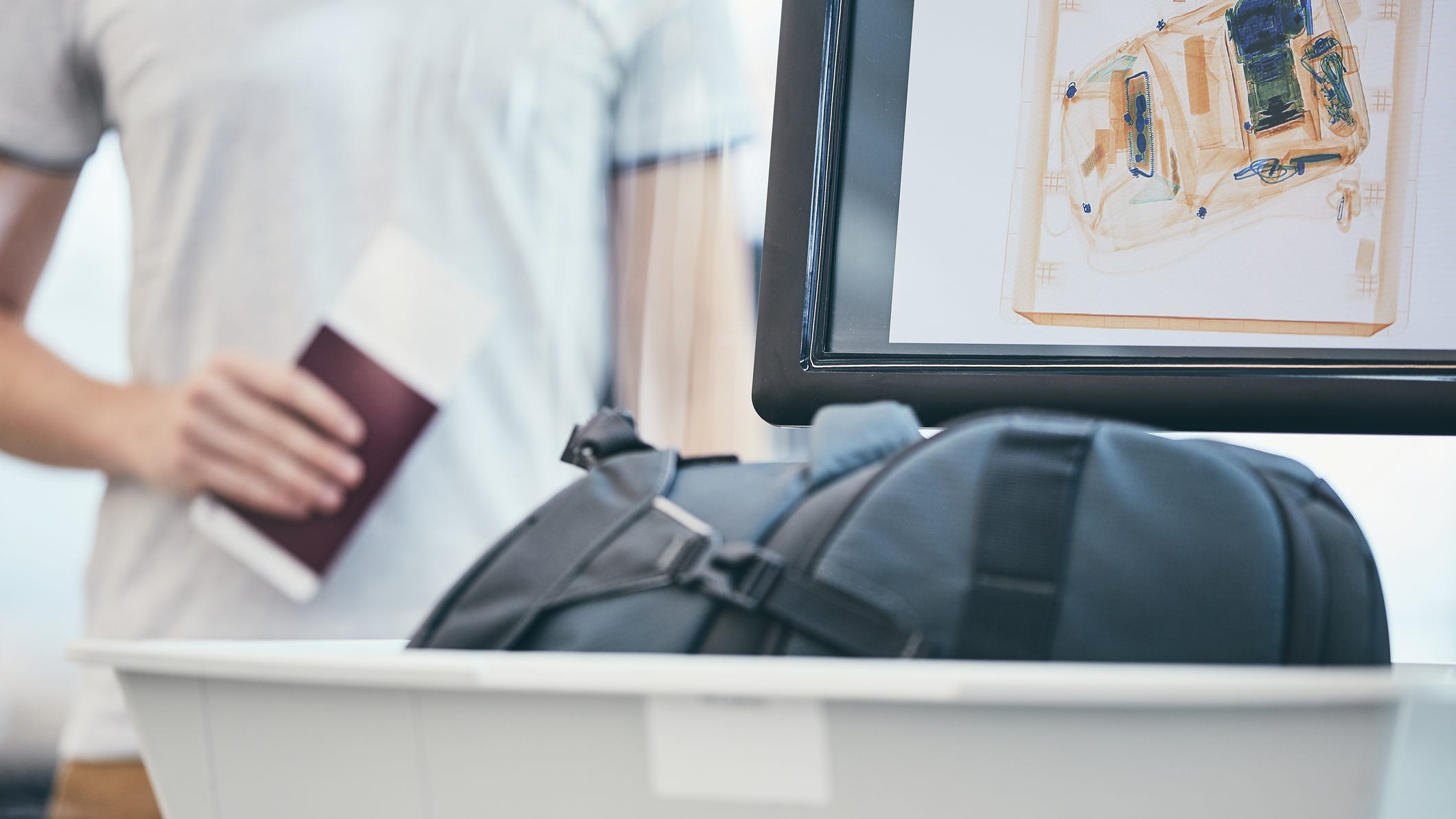 TSA finds an ‘emotional support’ snake in a passenger’s luggage