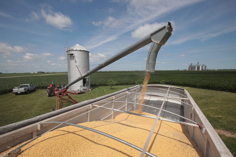 Impending tariffs have Minnesota farmers bracing for what could be a bumpy road as they prepare for the spring planting season.