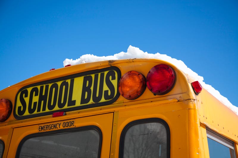 A 49-year-old woman was taken into police custody on Tuesday afternoon after she allegedly drove through a stop sign and collided with a school bus — all while intoxicated, authorities said.