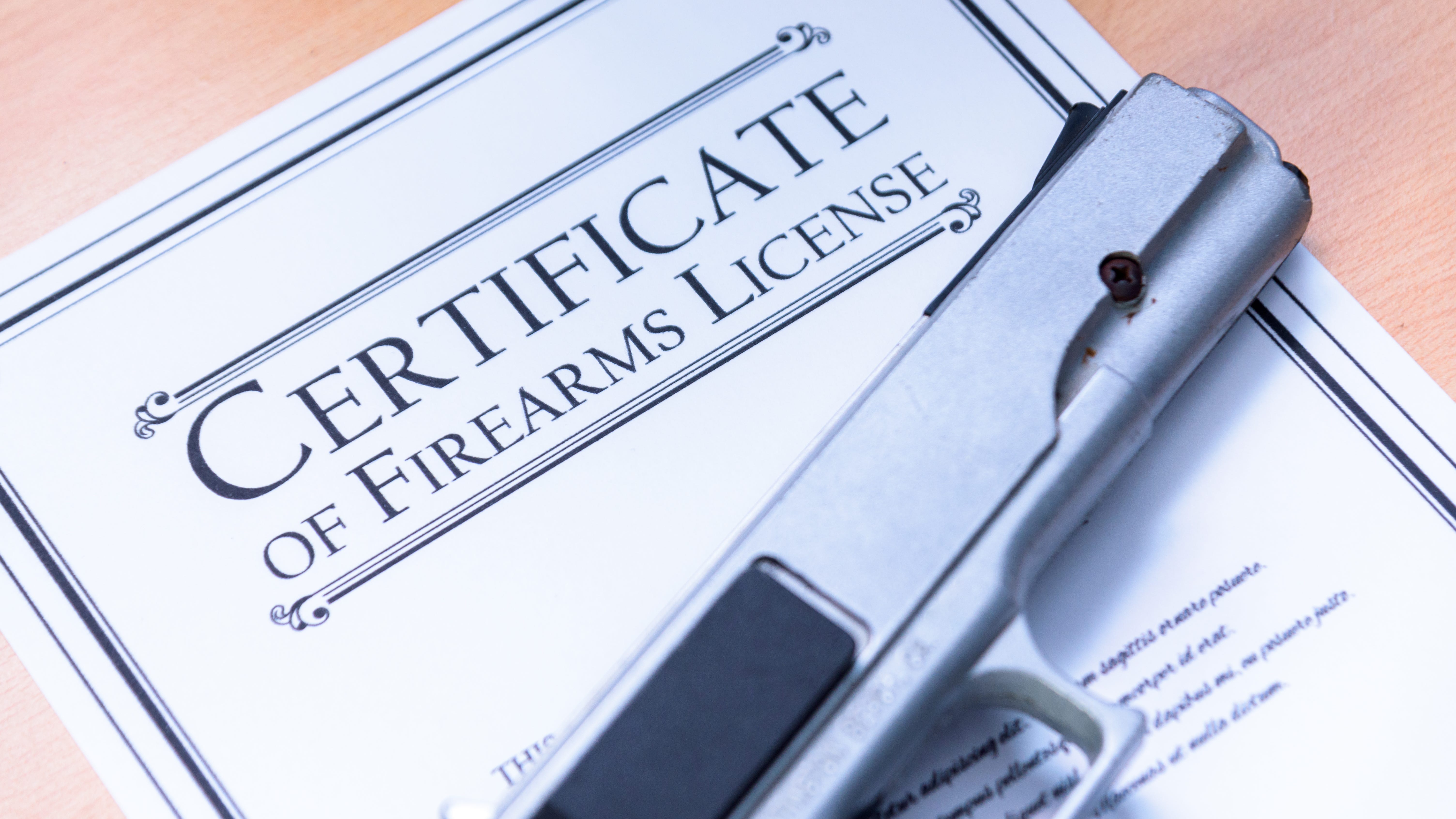 ISRA files injunction urging Illinois State Police to issue FOID cards within 30 days