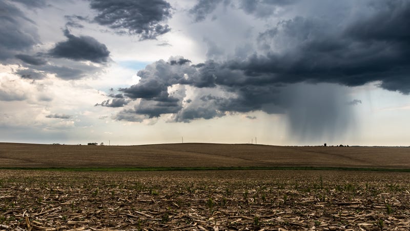 Rain over a farm field