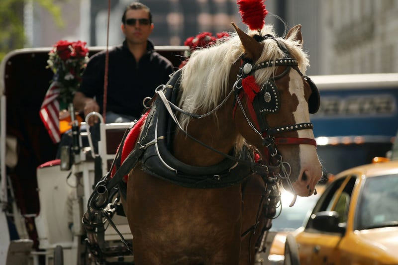 A horse-drawn carriage in Manhattan. Not specifically Billy.