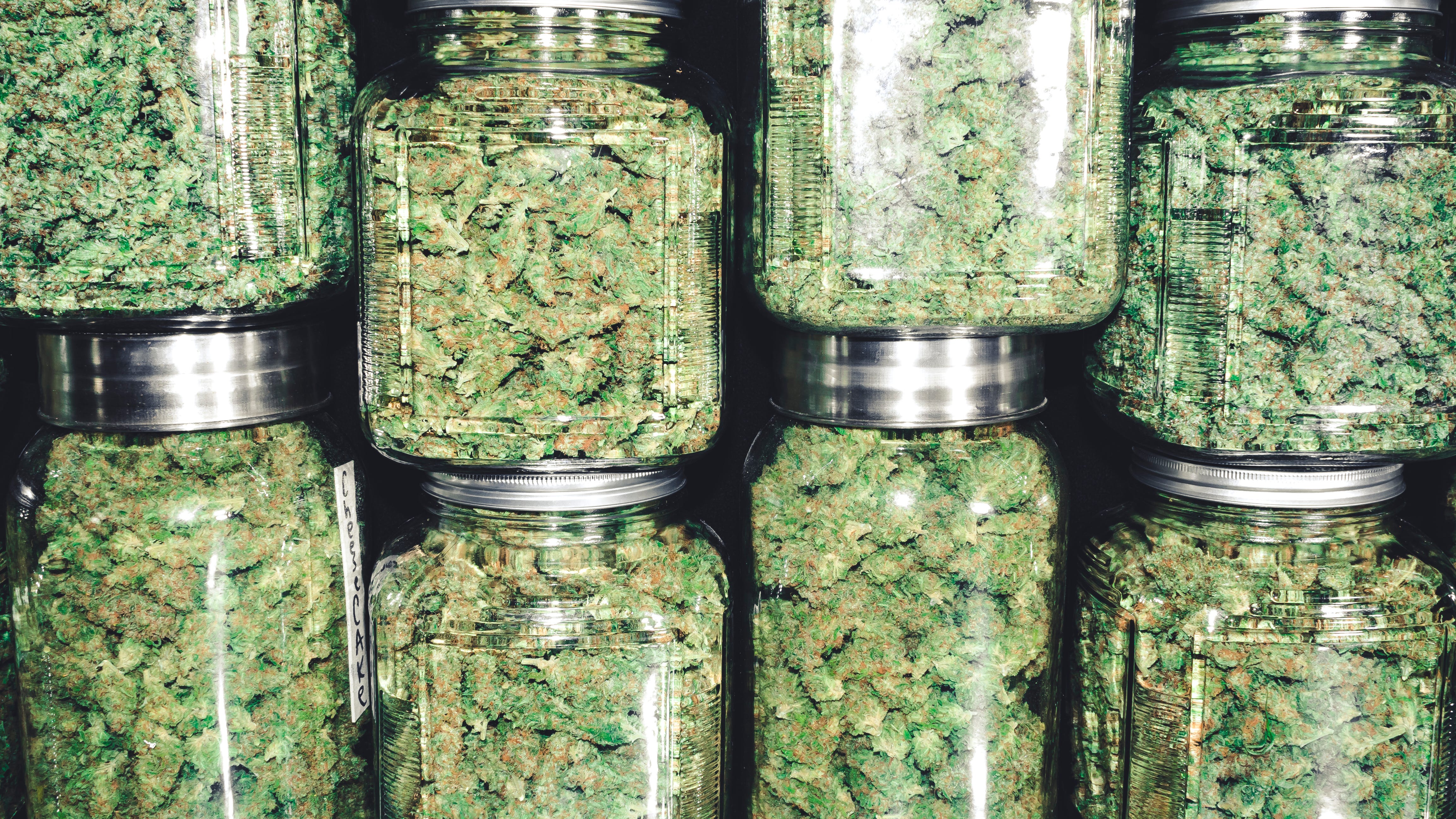 Pennsylvania lawmakers investigating potential marijuana legalization