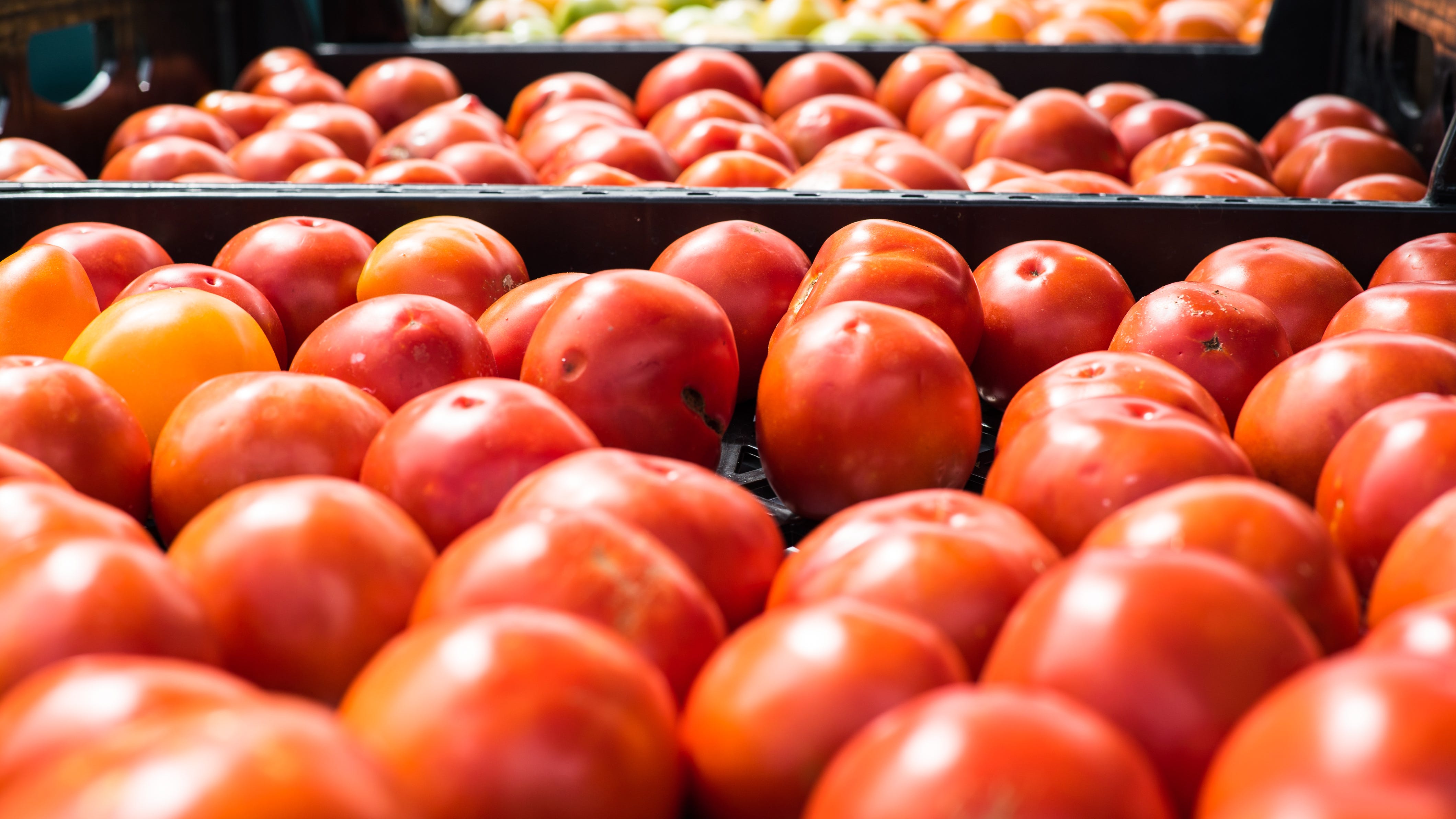 Chicago’s Green City Market prepares for 2023 farmers’ market season