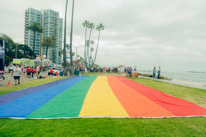 giant rainbow flag on grass near beach