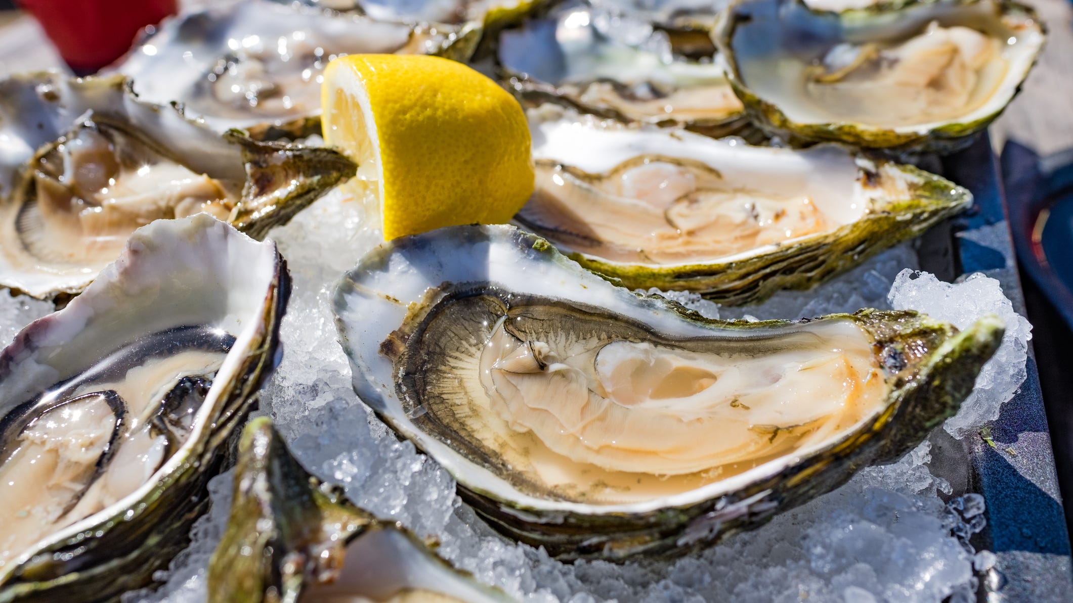 Multi-billion dollar Louisiana seafood industry still reeling from Hurricane Ida