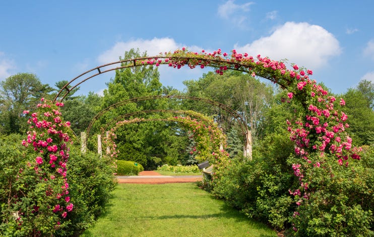 Elizabeth Park West Hartford