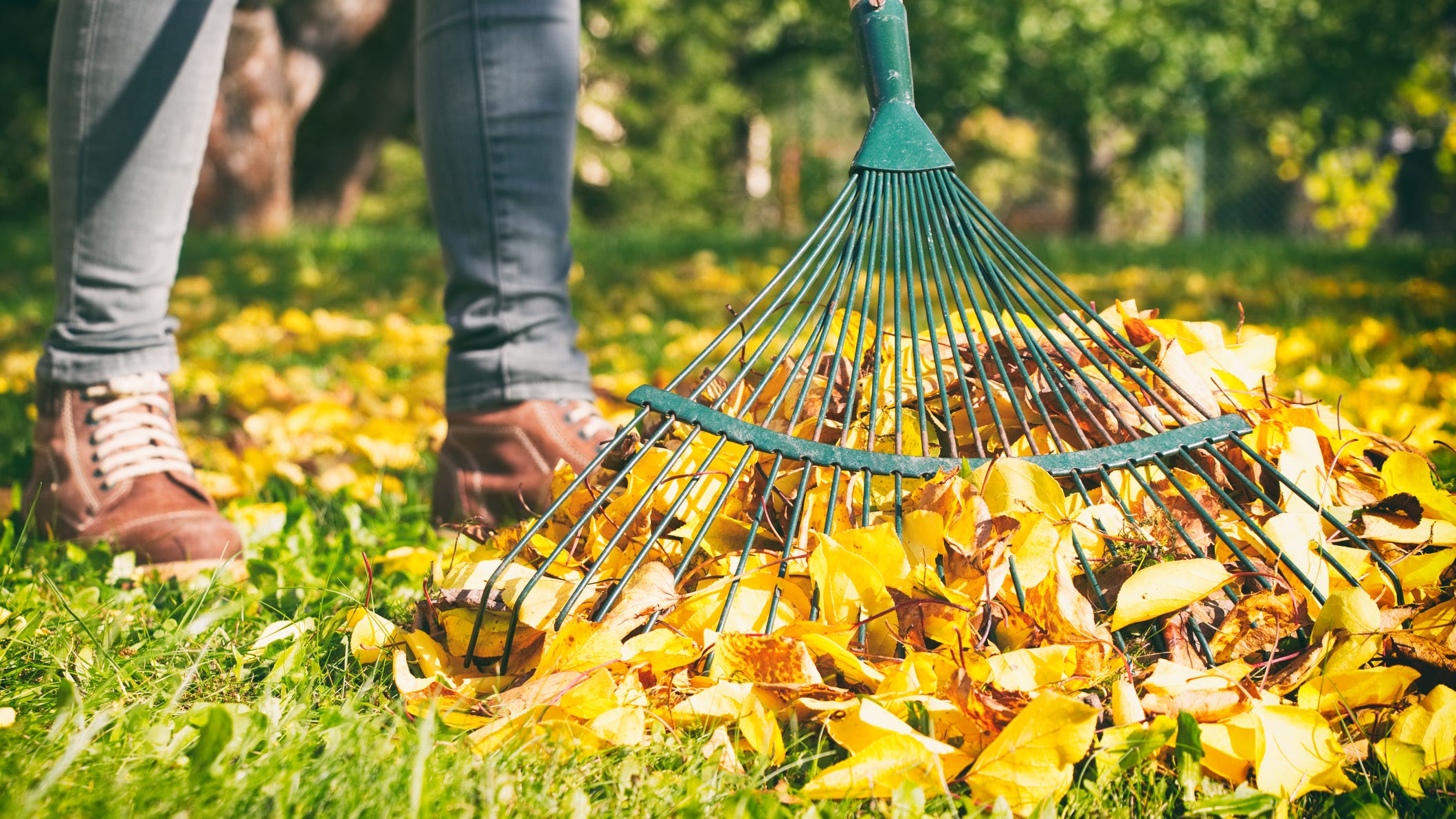 Why do we even rake leaves anyway?