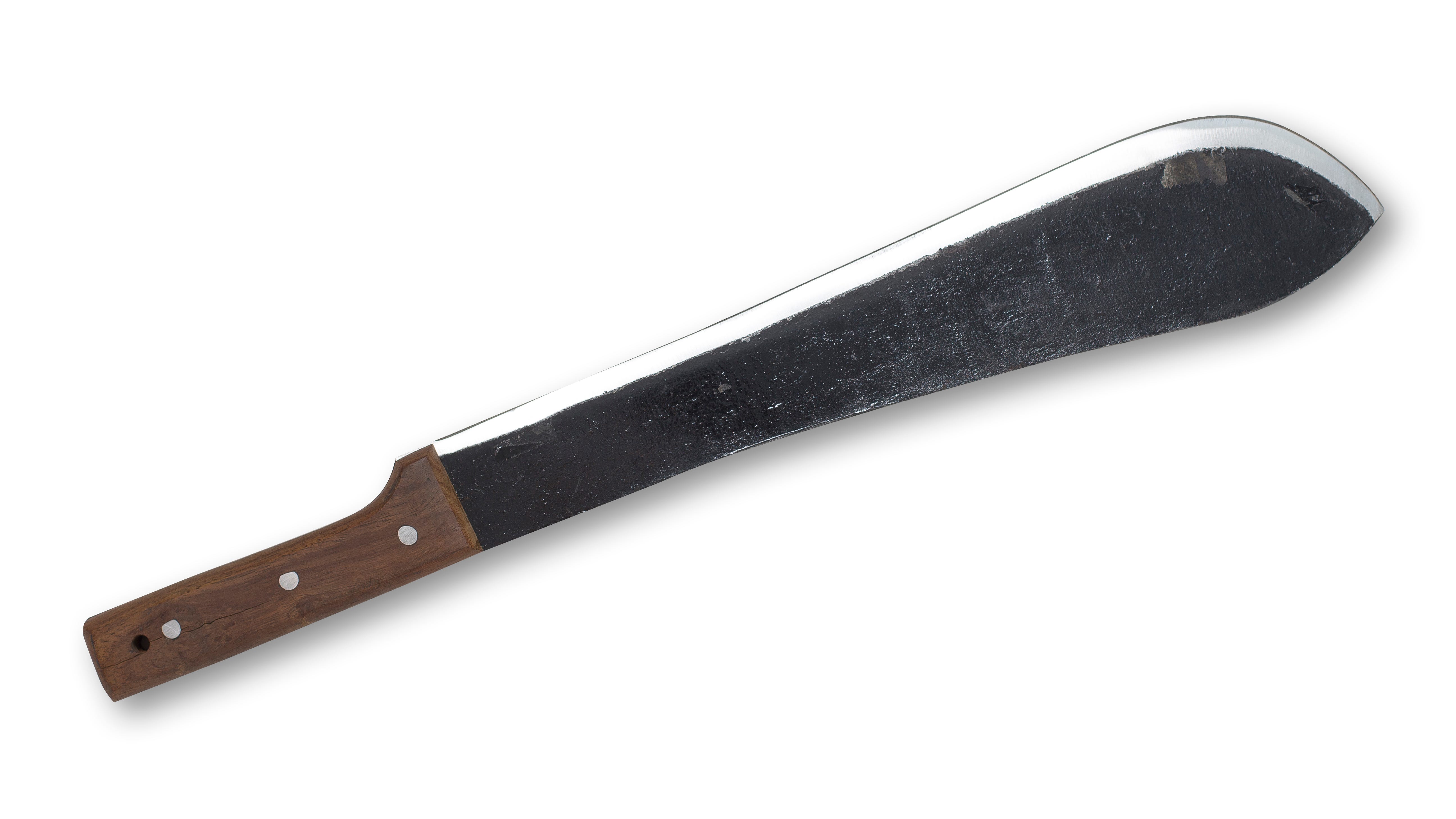 Machete-wielding man foiled by judicial worker who jammed foot in revolving door at courthouse: prosecutors